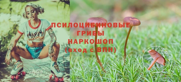 метамфетамин Алексеевка