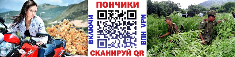mega рабочий сайт  наркота  Гусь-Хрустальный  Бошки марихуана планчик 
